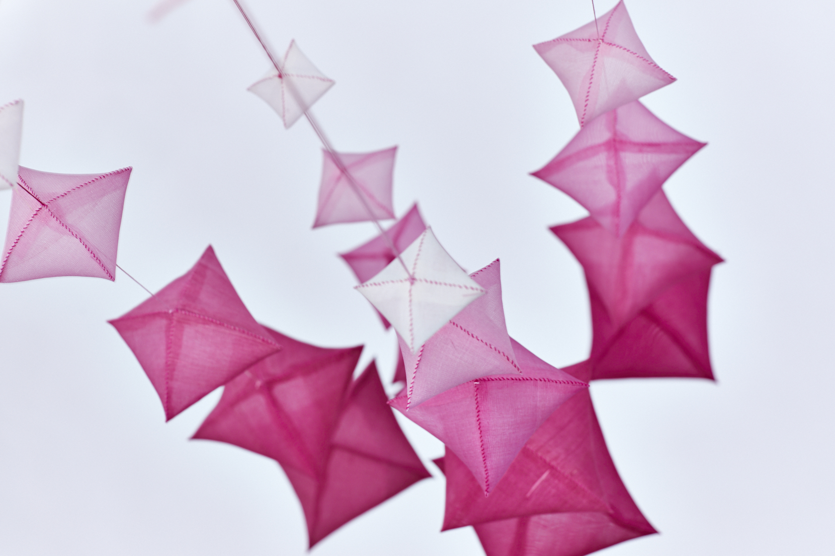 Cherry Blossom Project