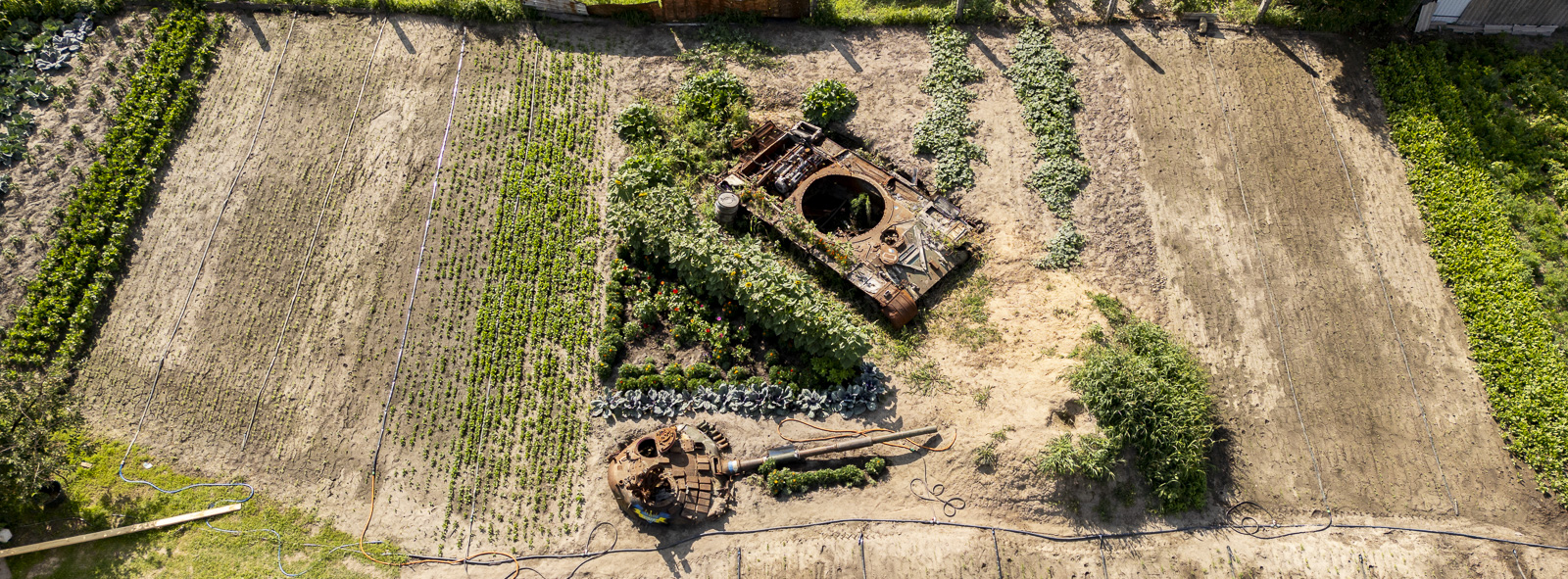 Ukrainian Gardens in Wartime
