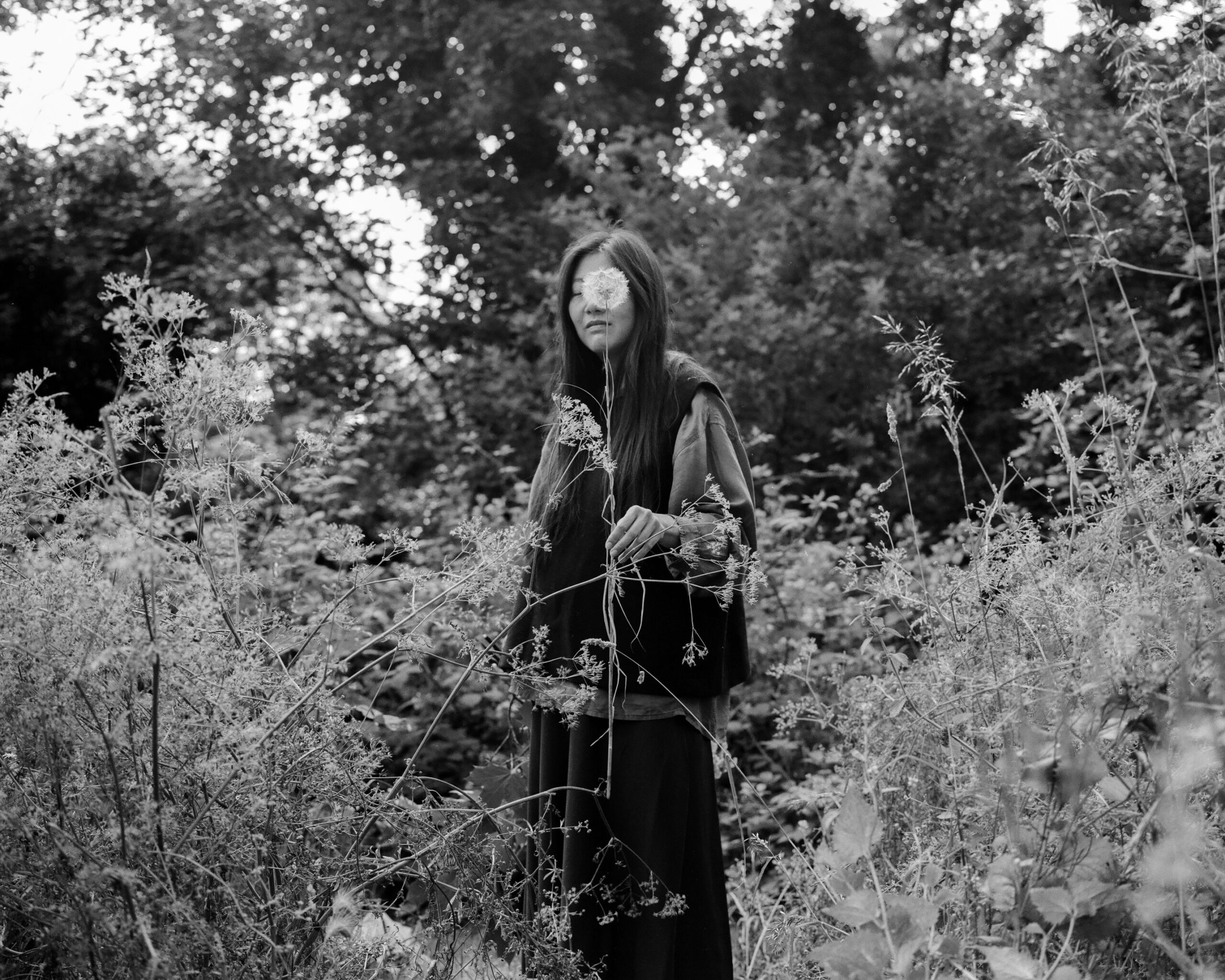 Image courtesy of Jesse Navarre Vos