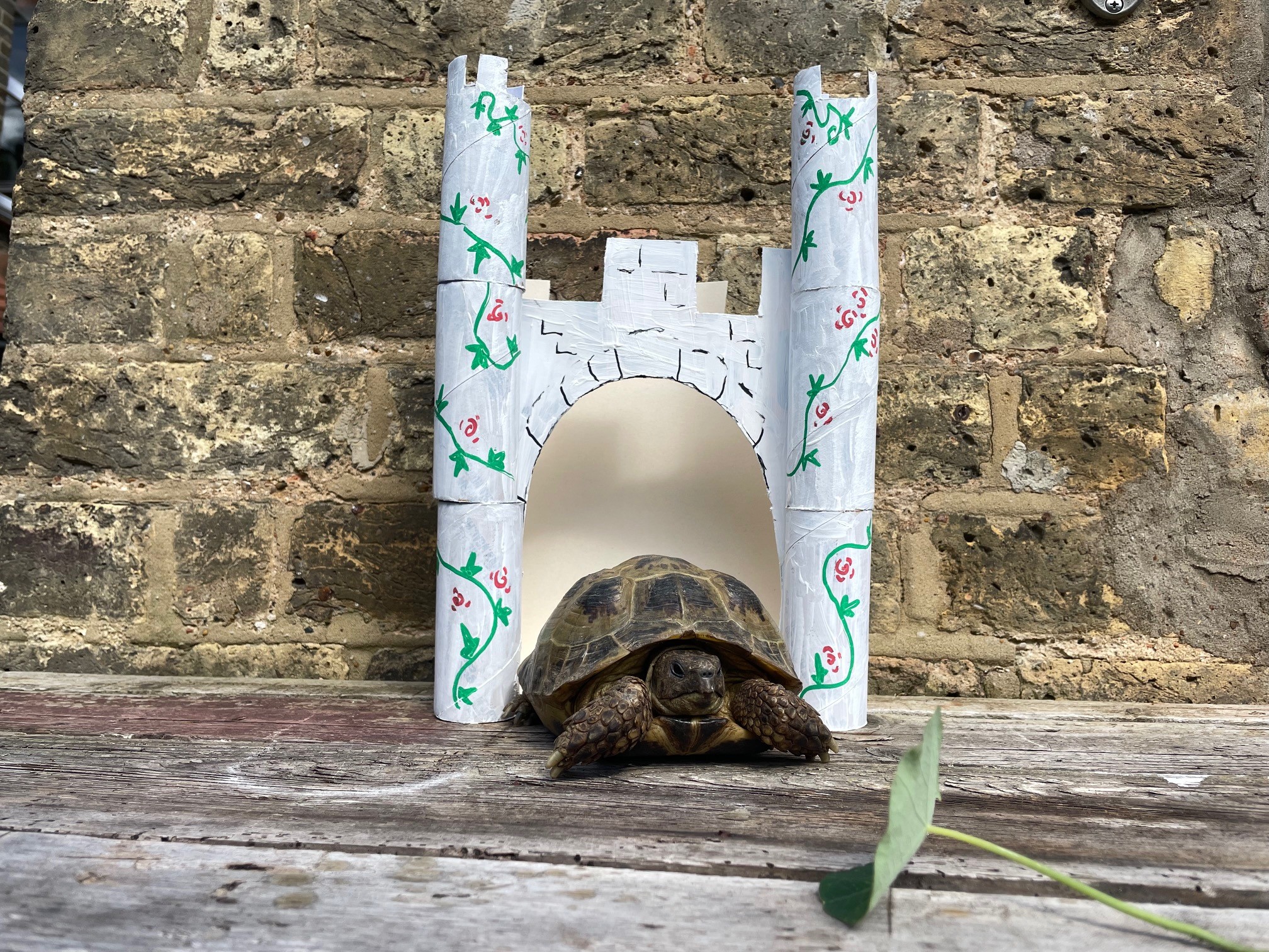 Family Summer Tortoise Town Workshop with RIBA Learning